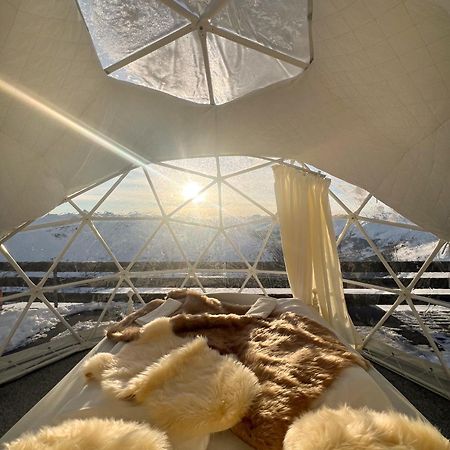 Berghotel Pischa Mountain Lodge دافوس المظهر الخارجي الصورة