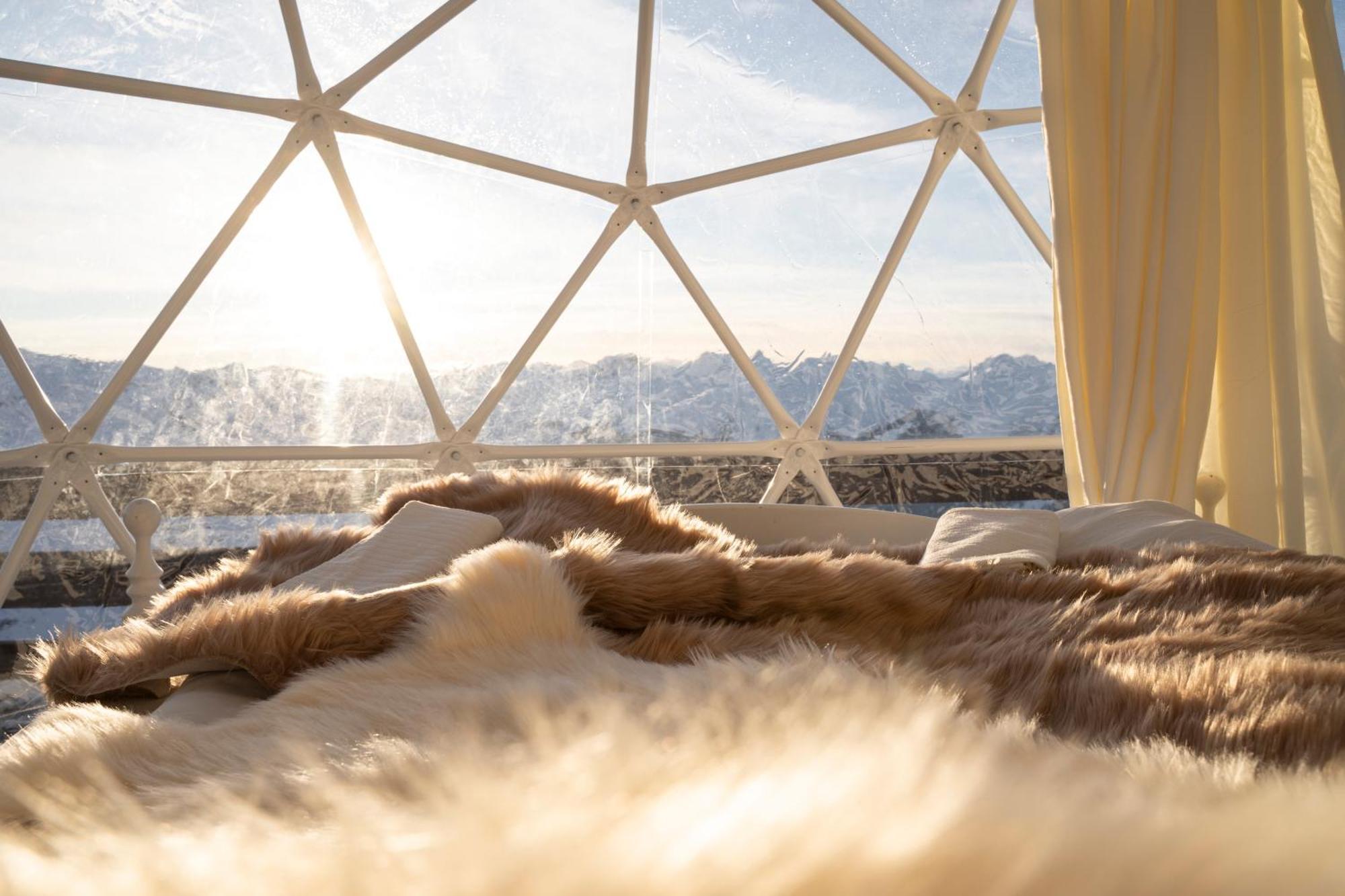 Berghotel Pischa Mountain Lodge دافوس المظهر الخارجي الصورة